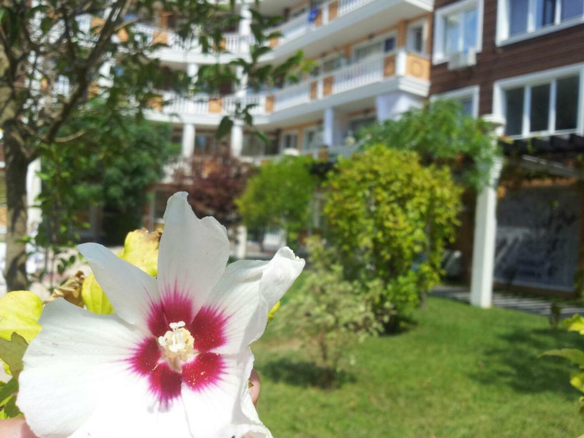 Villa Aria Complex Sunny Beach Eksteriør billede